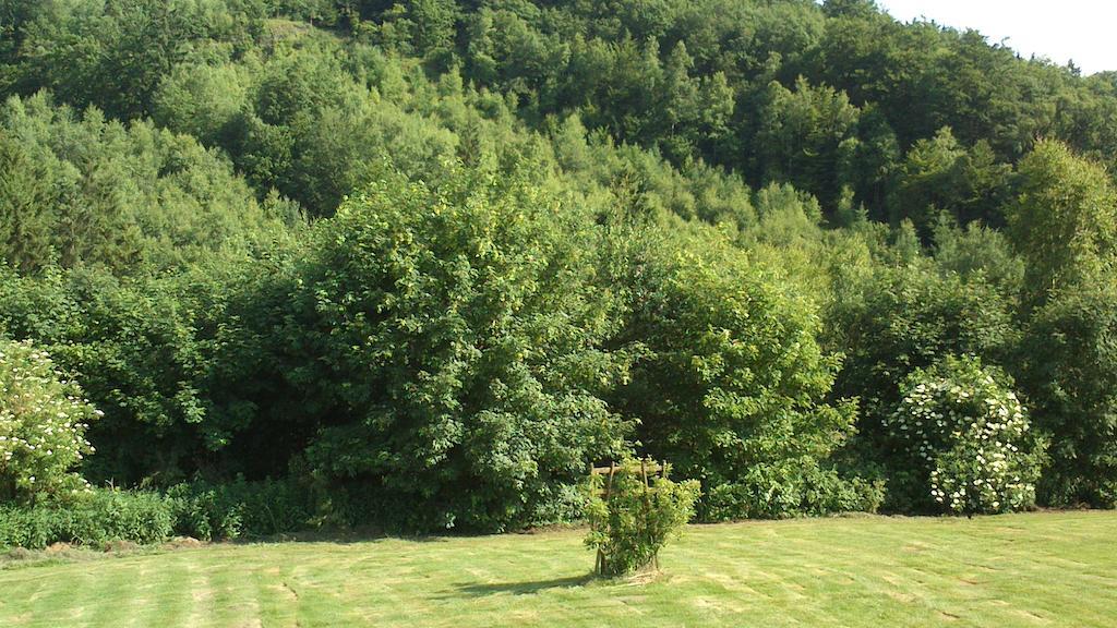 La Cle Des Champs Villa Bertogne Kültér fotó